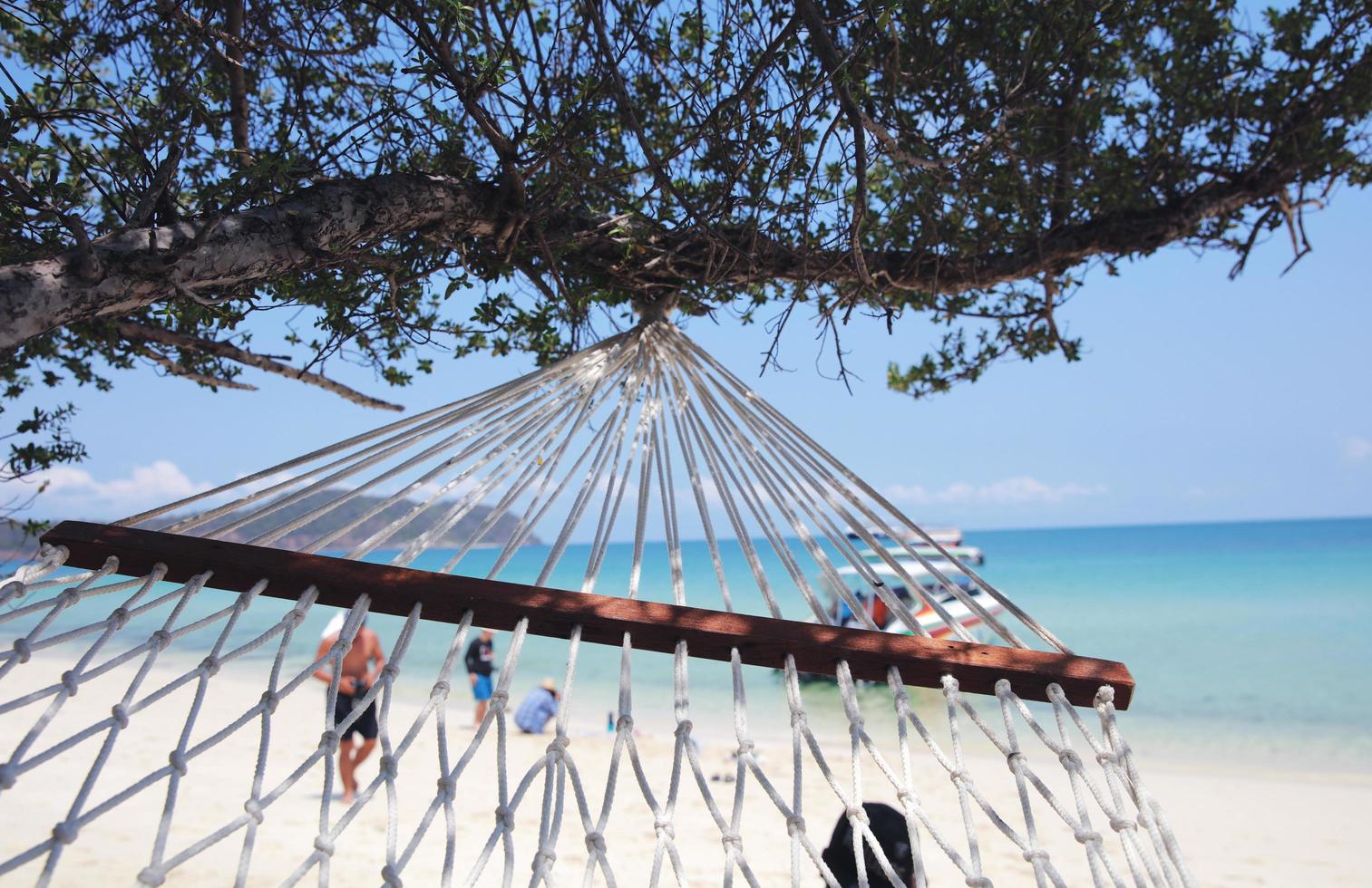 närbild av en gunga under ett träd på stranden foto