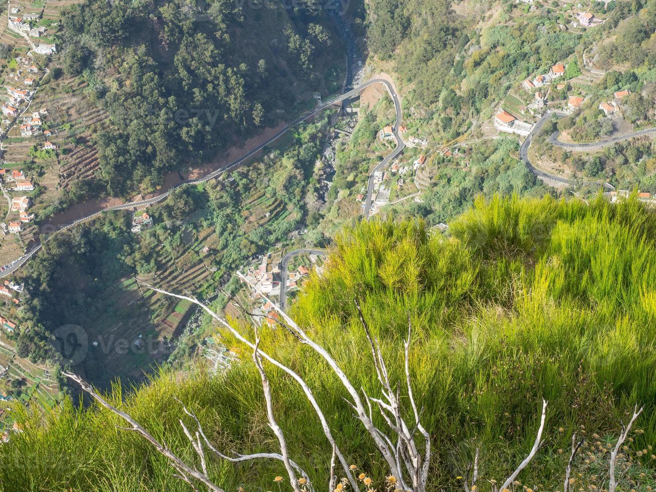 ön madeira foto