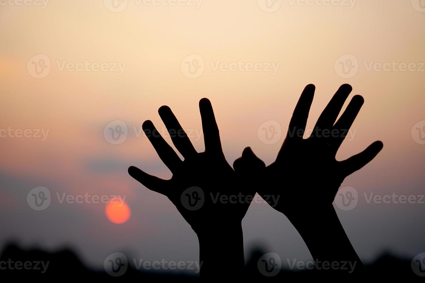 mänsklig hand silhuett av flygande fågel solnedgång bakgrund foto