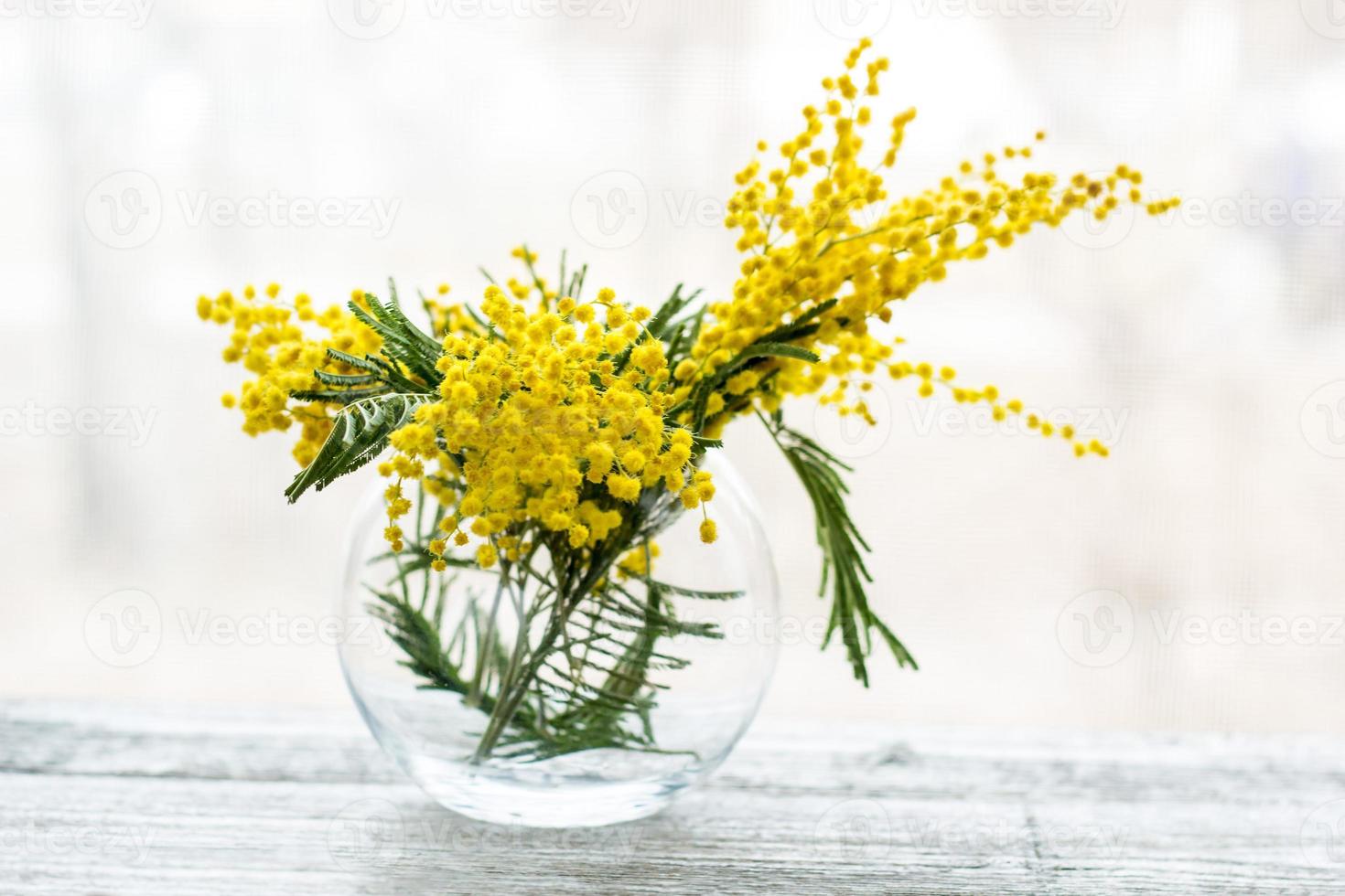 skön gul mimosa blomma blomma i glas vas i vår tid foto
