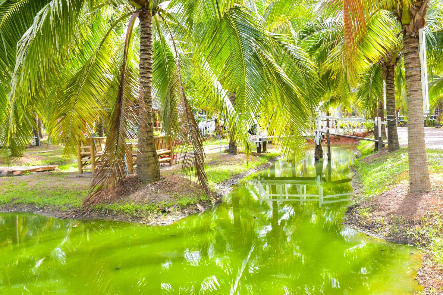 kokos gårdar och skön turkos vattnen i sydlig thailand. foto