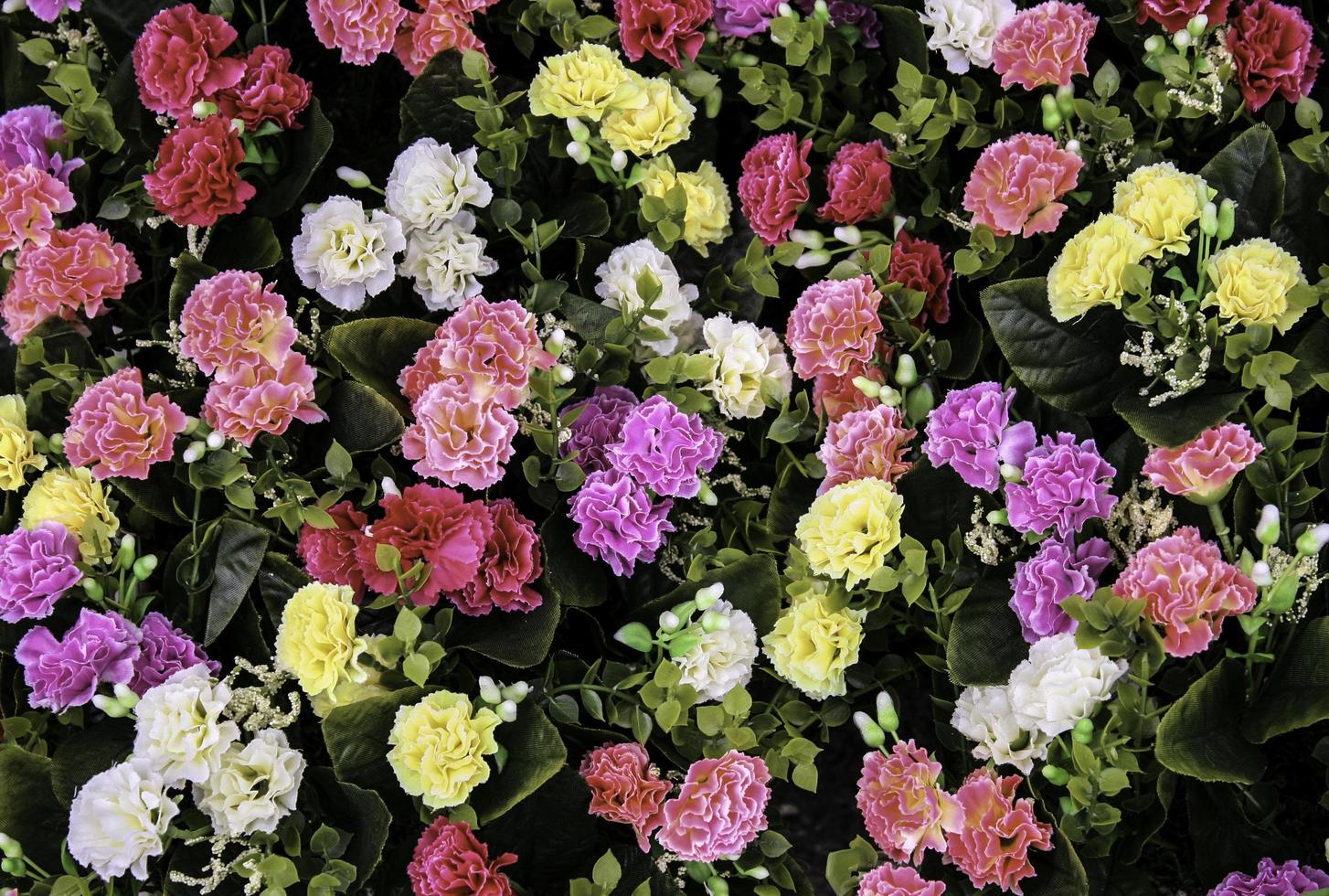 mångfärgad bädd av blommor foto
