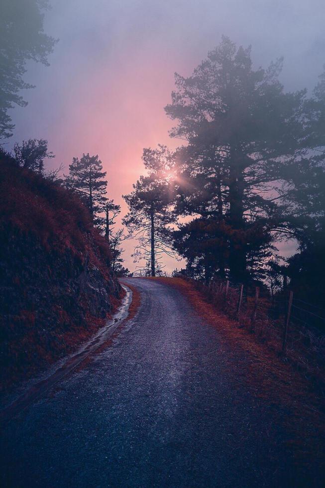 skogsväg i bilbao, Spanien foto