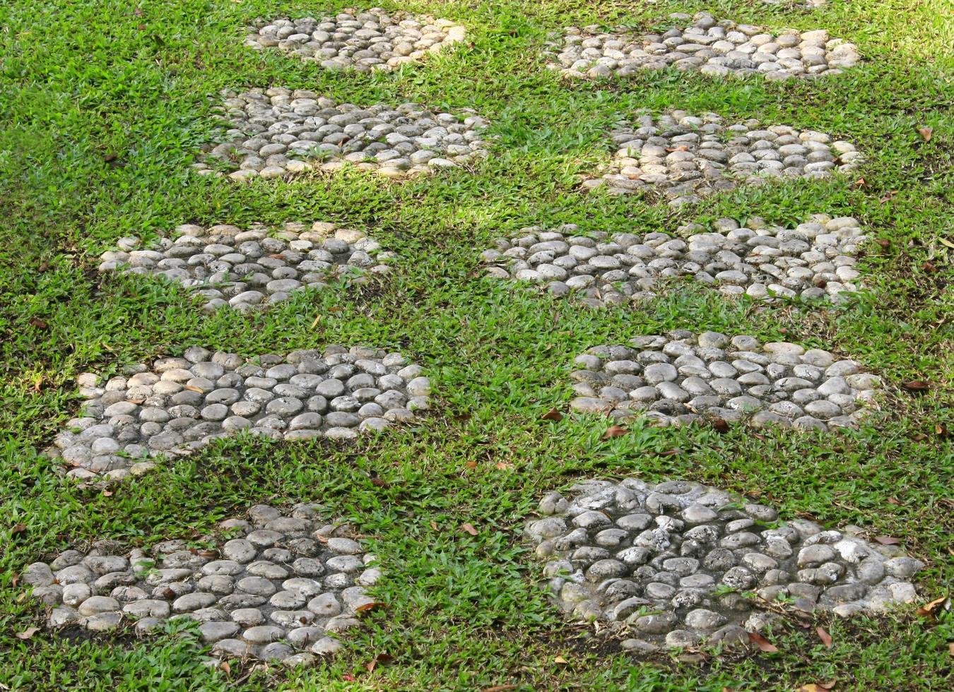 sten gångväg i grönt gräs foto