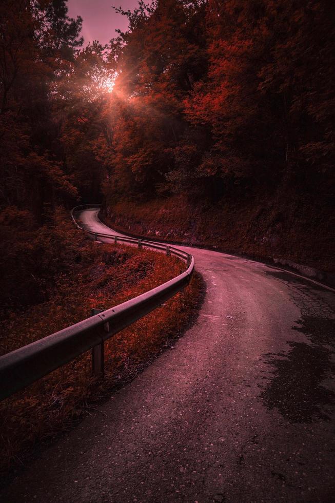 väg i skogen under hösten i bilbao, Spanien foto