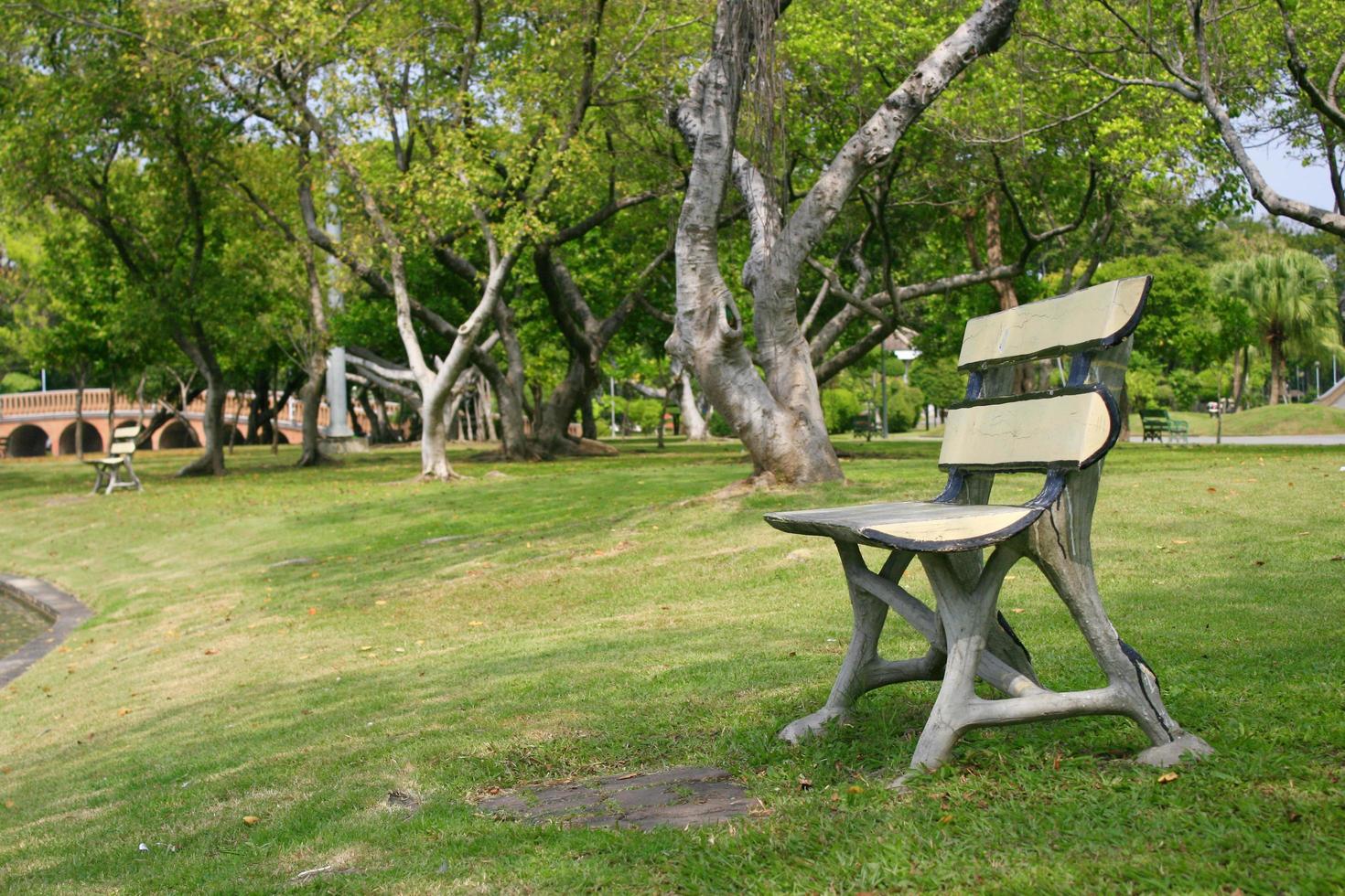 gamla bänkar i en park foto