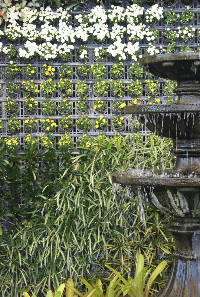 vatten fontän i en trädgård foto