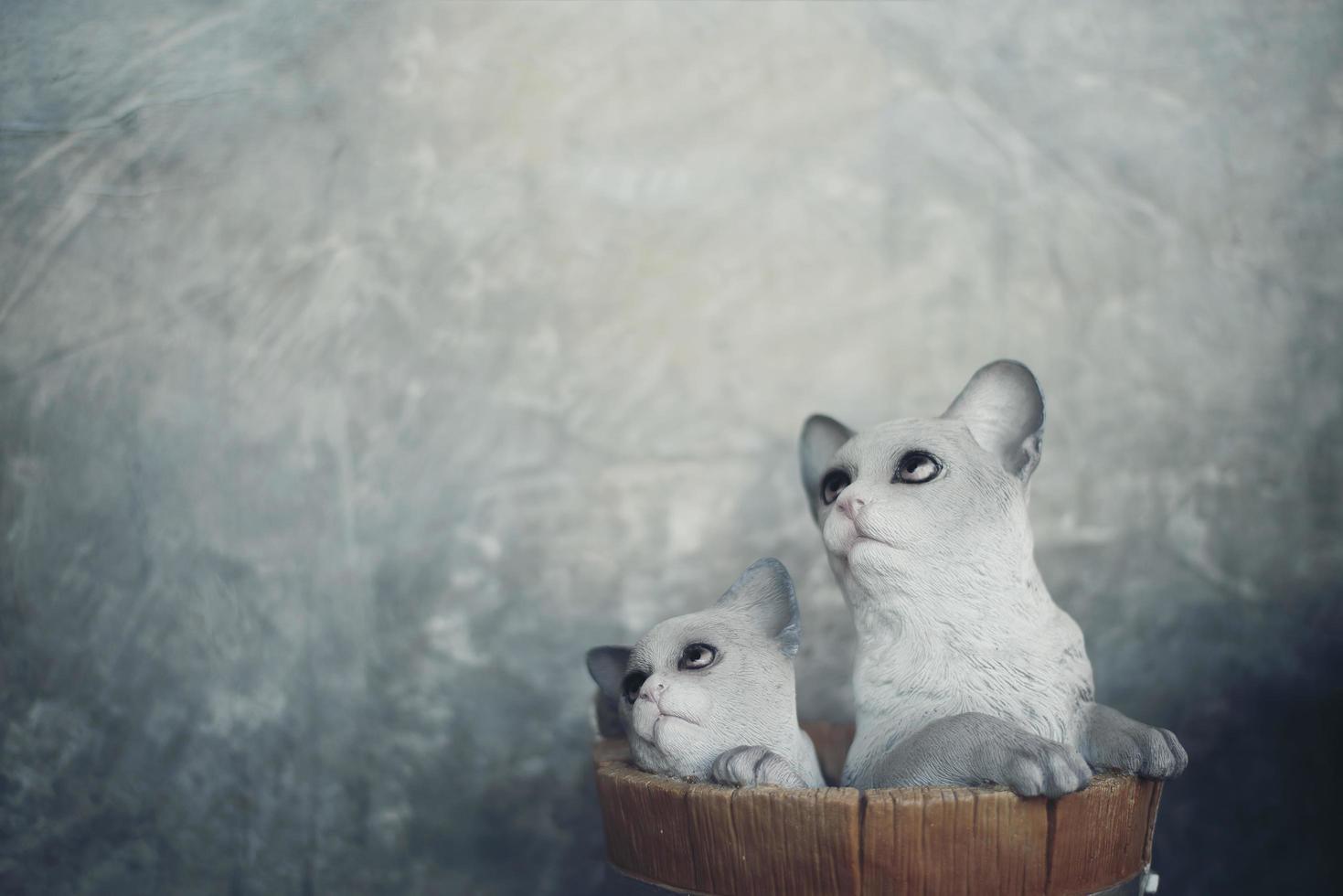 två kattdockor med kopieringsutrymme foto