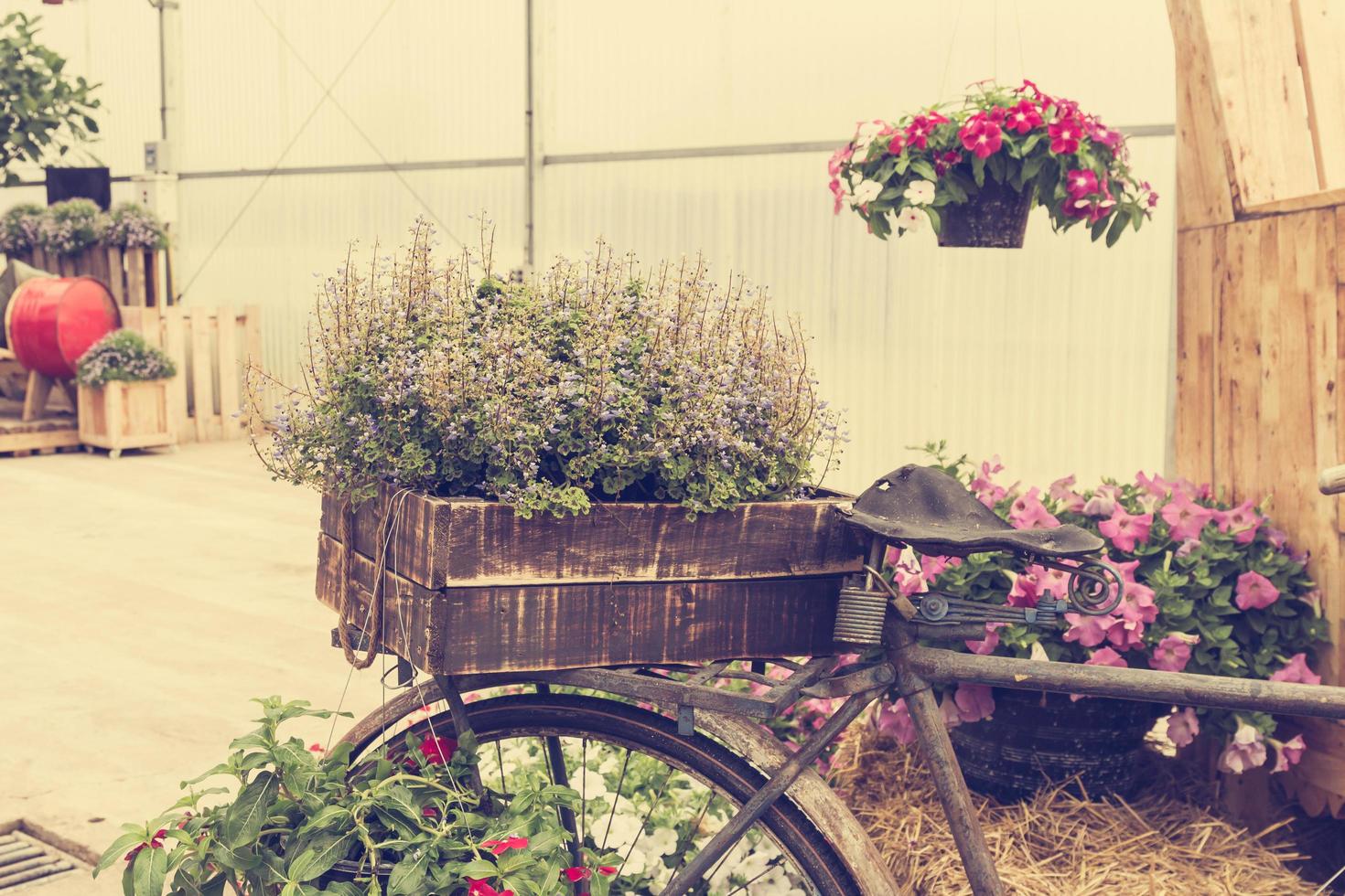 cykel årgång i trädgård foto