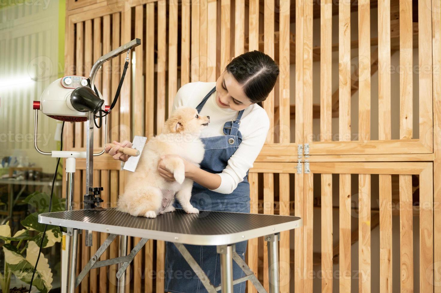 kvinna professionell groomer kammande hund päls på sällskapsdjur spa grooming salong foto