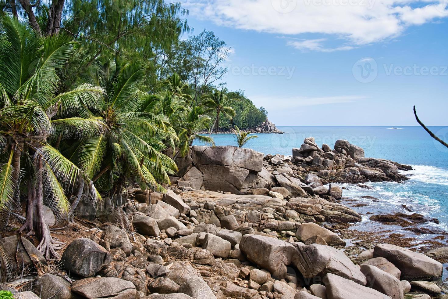 mahe Seychellerna kokos handflatan träd och fantastisk sten stenblock nära de Strand foto