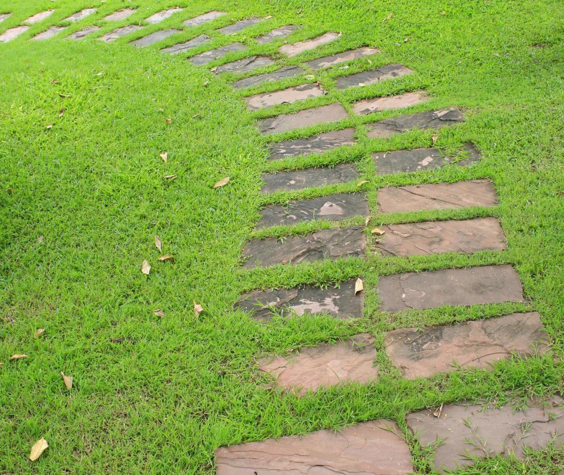 stenväg i grönt gräs foto