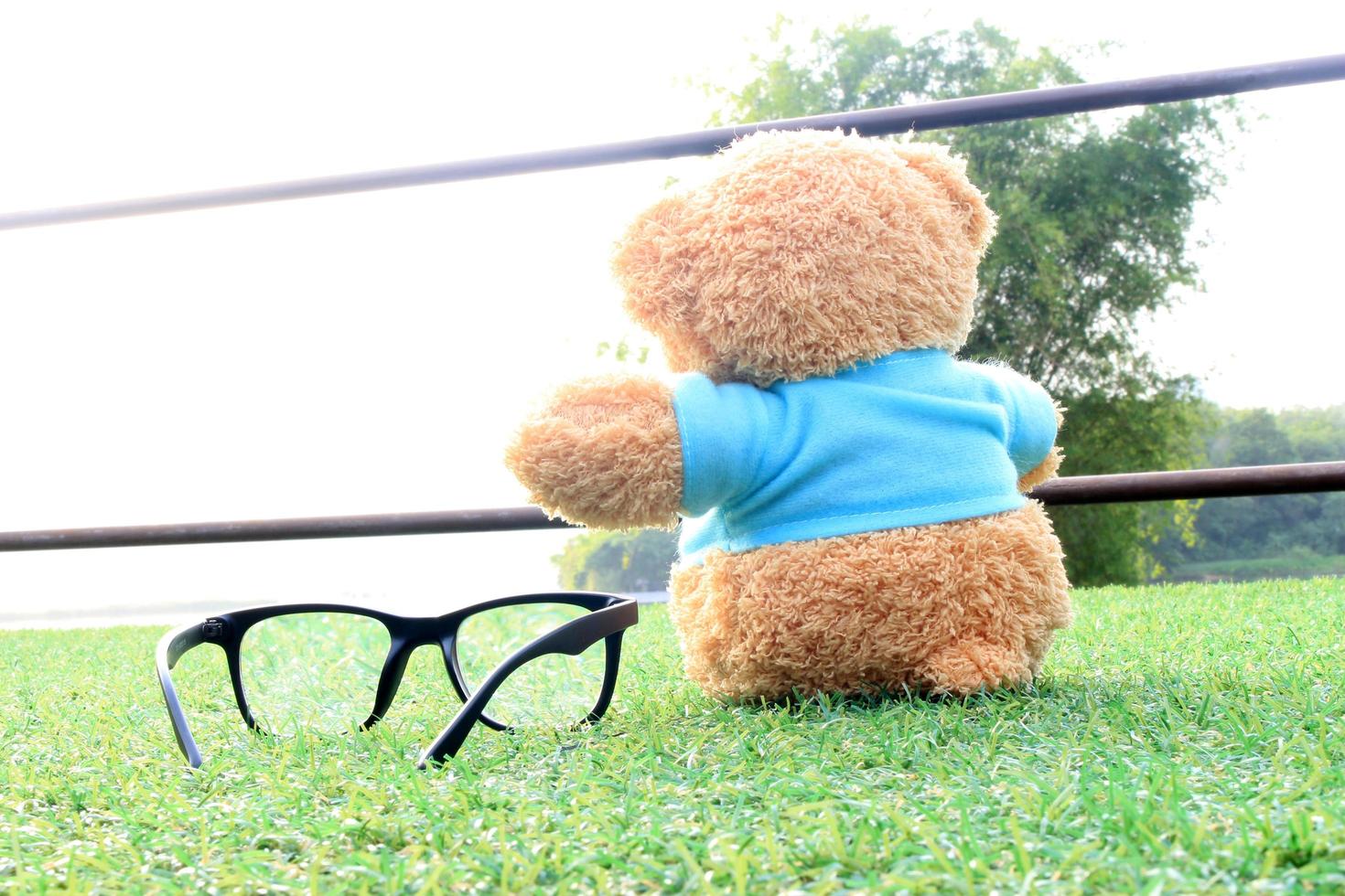 björn och glasögon foto