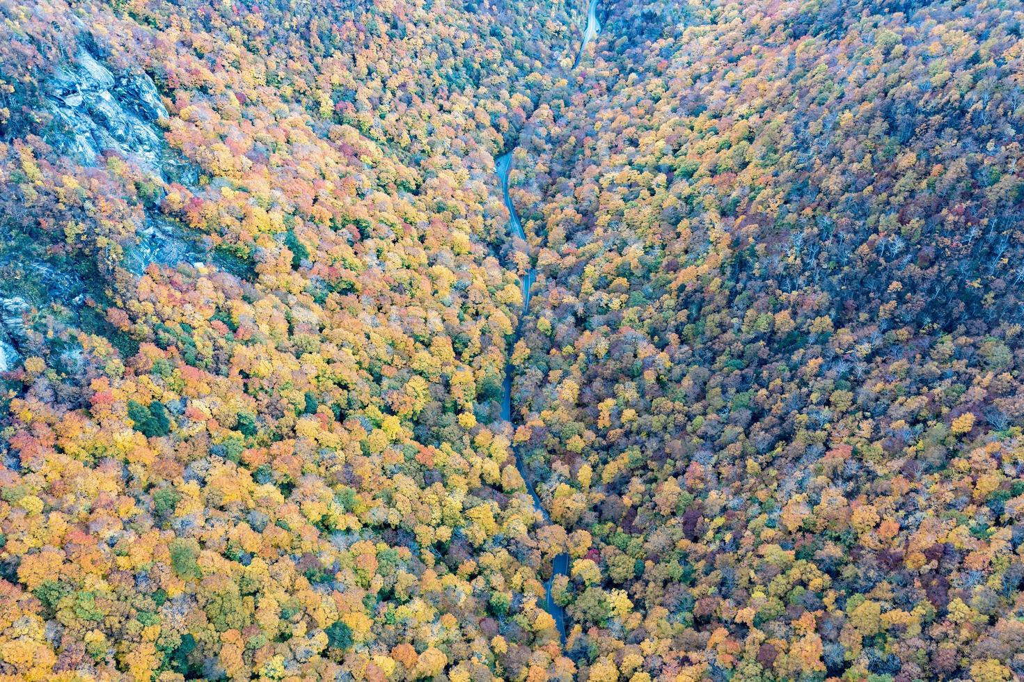 panorama- se av topp falla lövverk i smugglare hack, vermont. foto