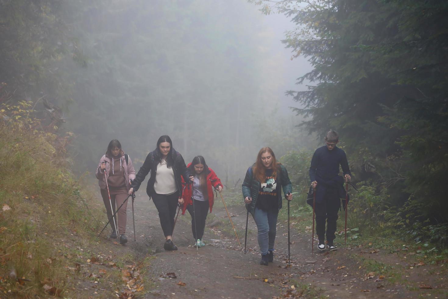 karpater berg, ukraina - oktober 8, 2022 montera hoverla. karpater i ukraina i höst foto