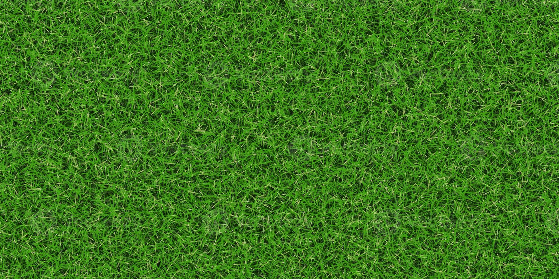 tät frodig fält bakgrund. parkera gräsmatta mönster. texturerad äng bakgrund. gräs textur. foto