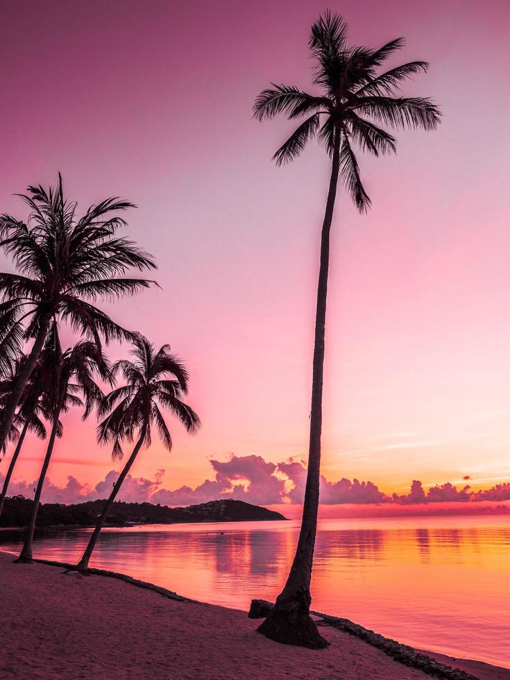 vacker tropisk strand vid soluppgång foto