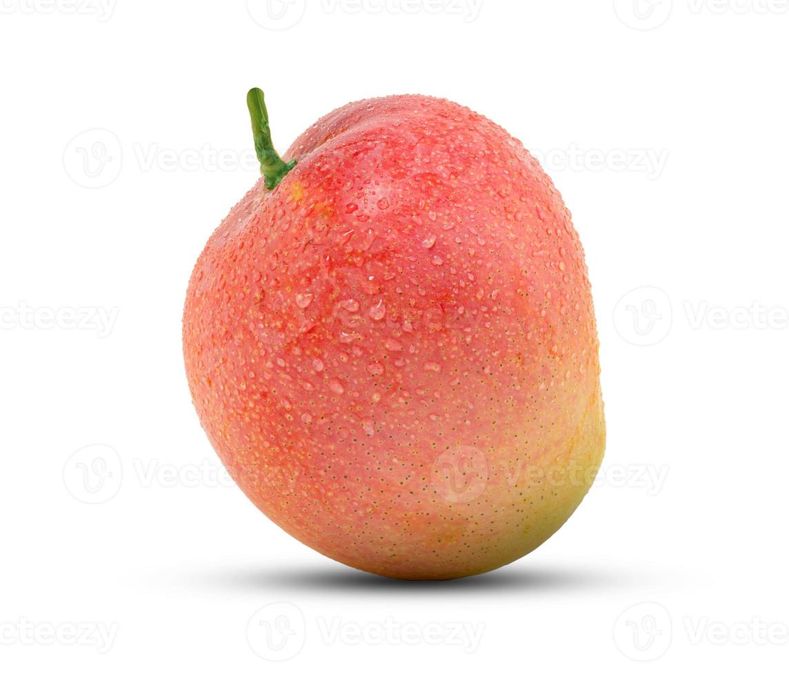 mango på vit bakgrund foto