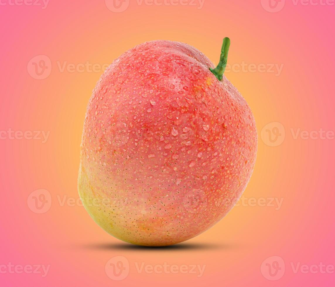 mango på rosa bakgrund foto