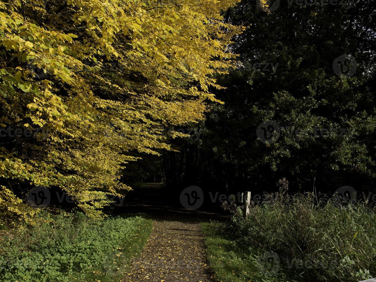 på de slott av raesfeld i Tyskland foto