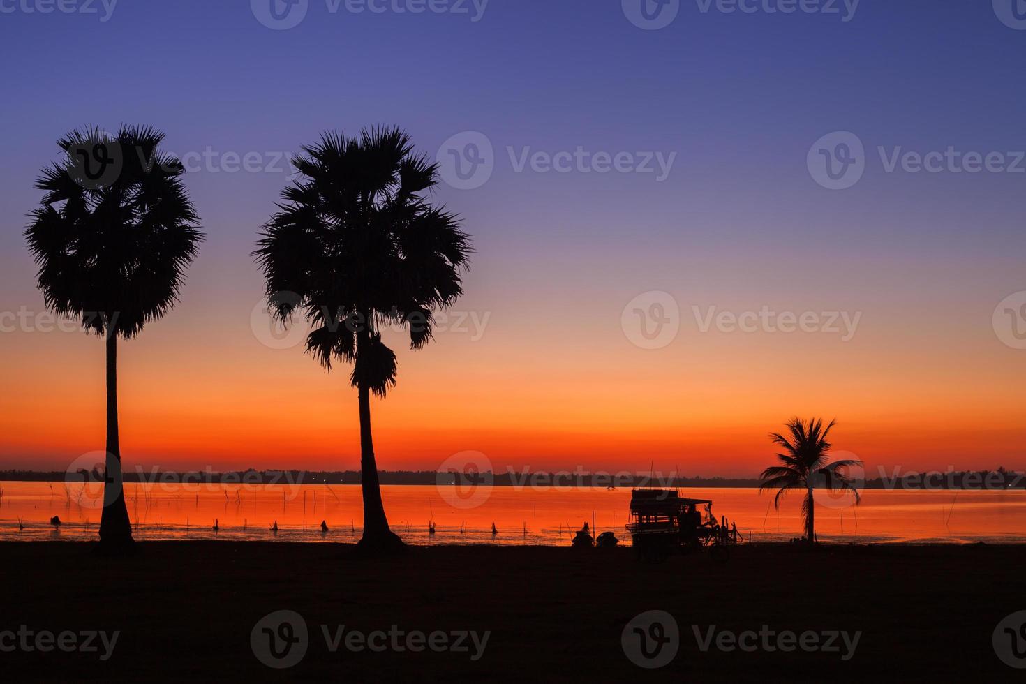 färgglada solnedgång och palmträd silhuetter foto