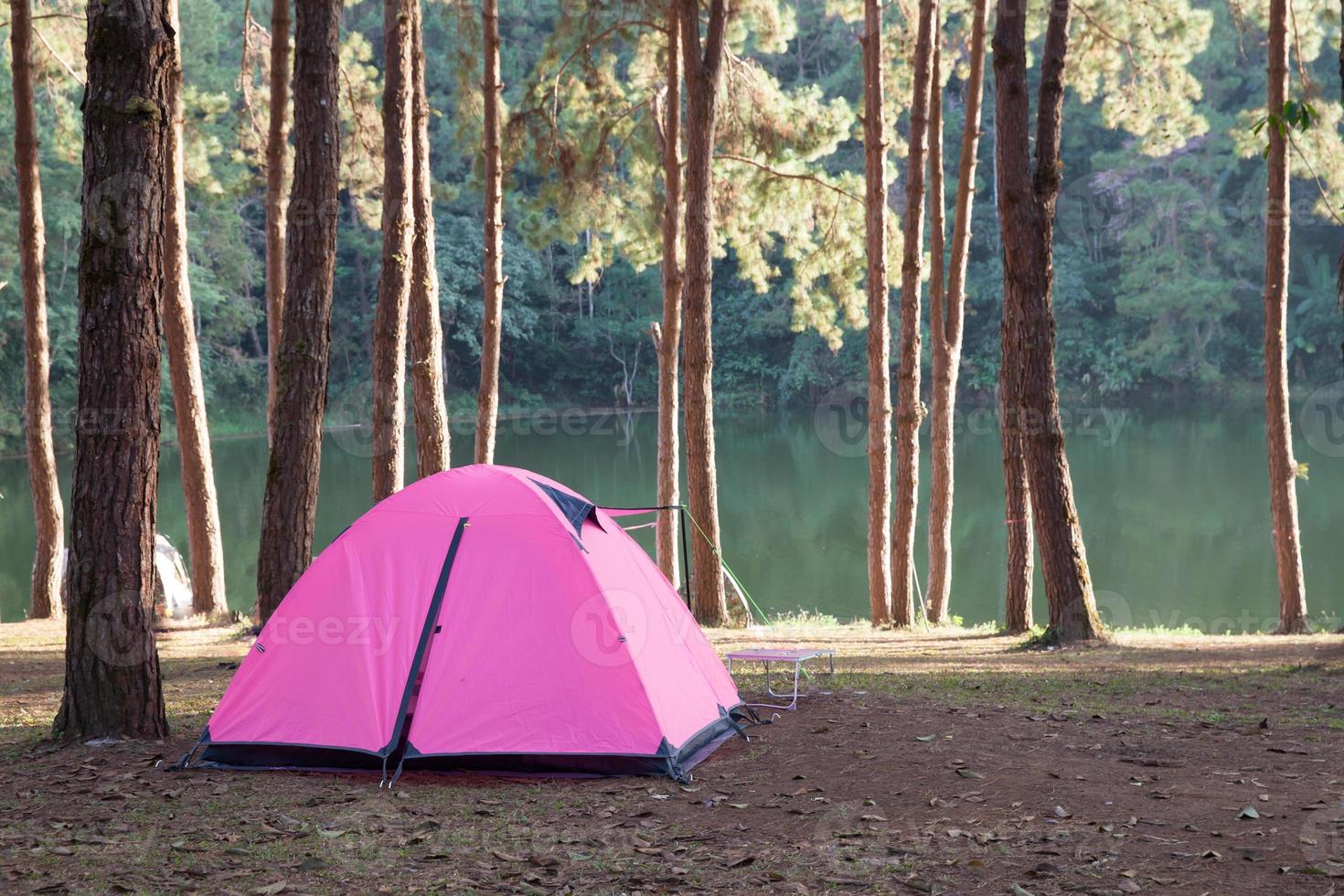 rosa tält på en campingplats foto