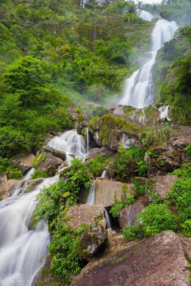 vattenfall i en frodig skog foto
