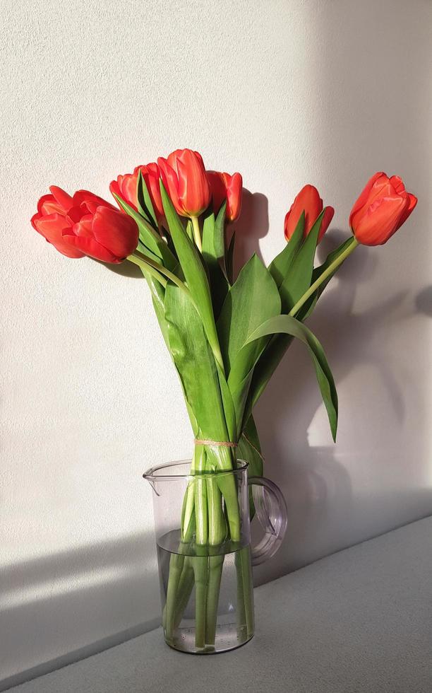 bukett färsk röd tulpaner med grön löv i glas vas på vit vägg bakgrund med skuggor. Mars 8 kvinnor dag. mödrar dag. mormor dag. Lycklig födelsedag. vertikal bild. foto