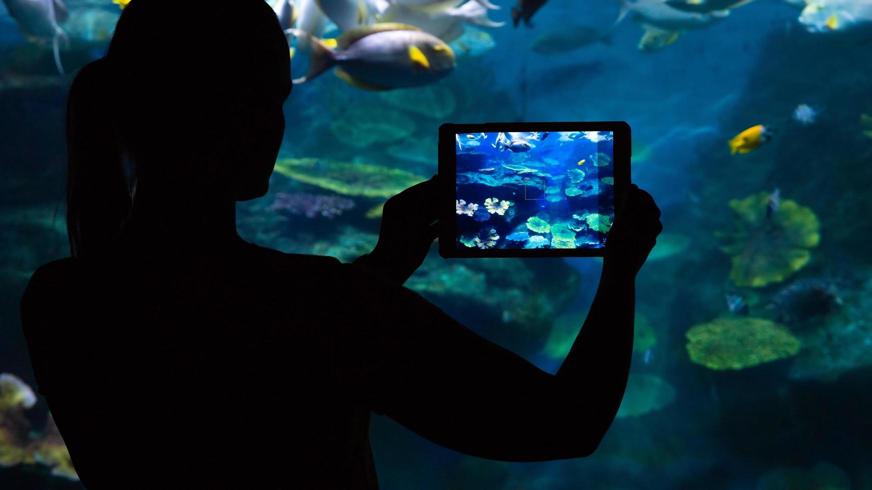 kvinna som tar ett foto av ett akvarium med en tablett