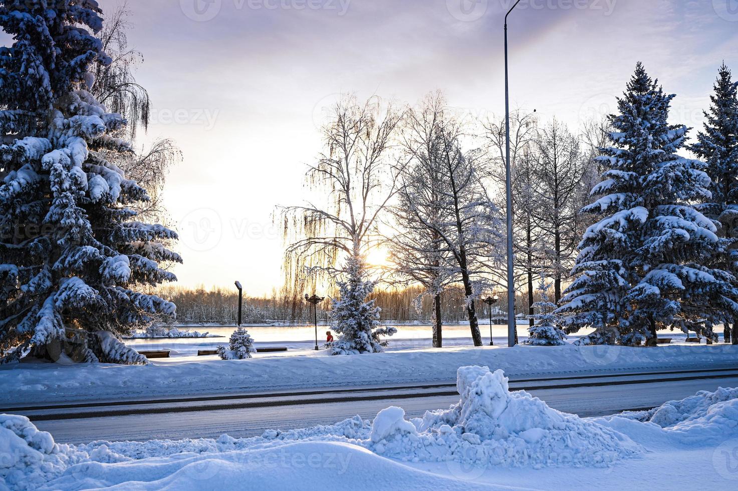 vinter- väg, jul träd i de snö. en Spår i en vinter- snö scen. snöig, kväll. foto