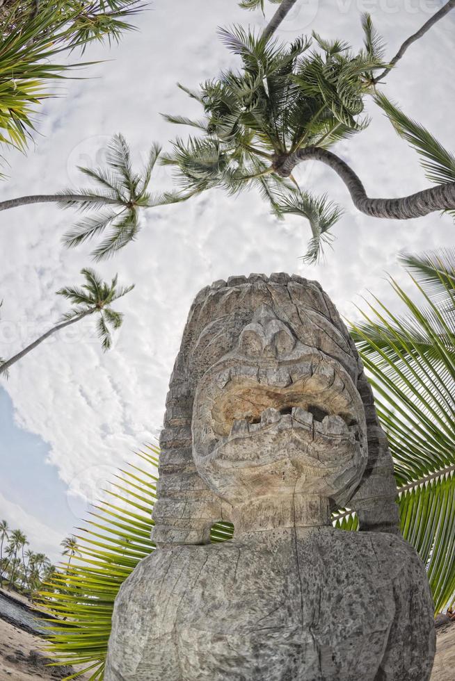 hawaii tiki trä- staty foto