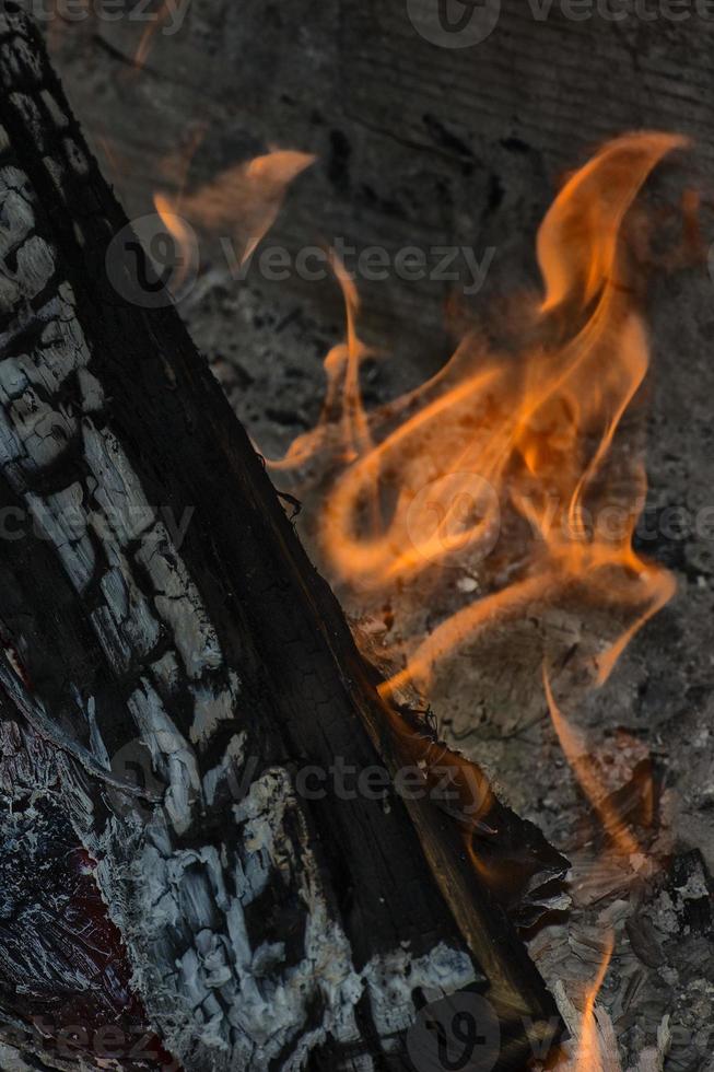 trä lågor på brand plats och svart bakgrund foto