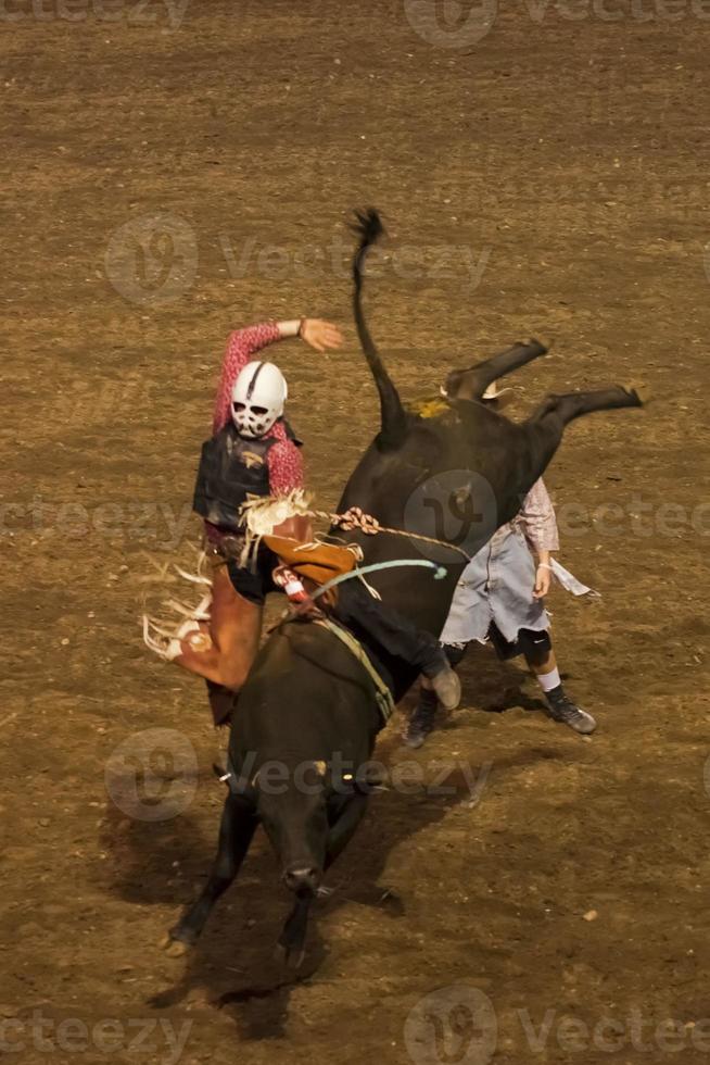 en ko pojke spelar de rodeo panik foto