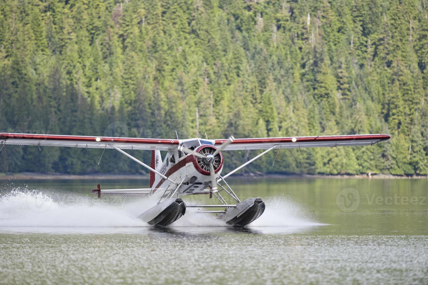 en flottörplan medan landning på alaskan sjö foto