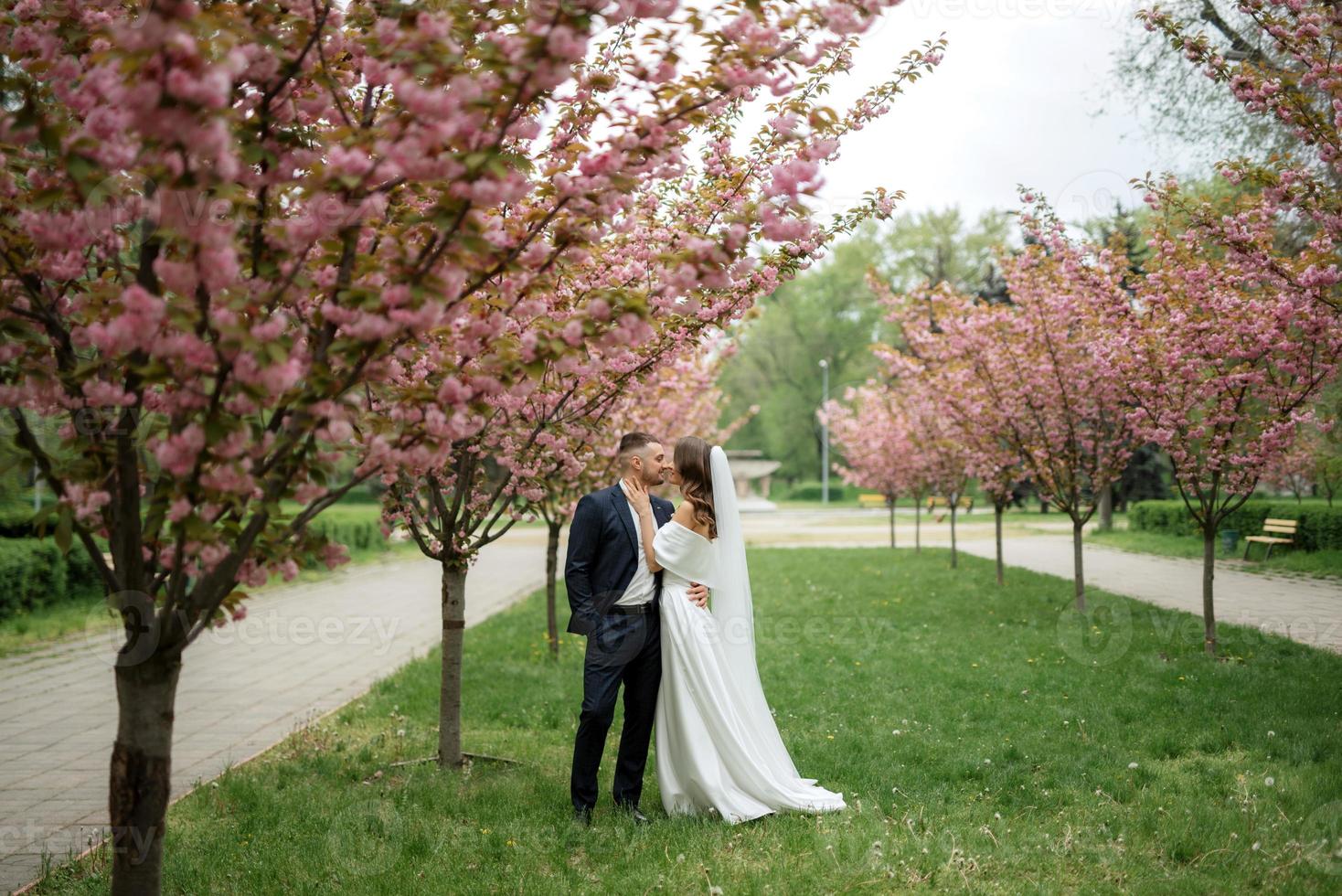 nygifta promenad i de parkera bland körsbär blommar foto