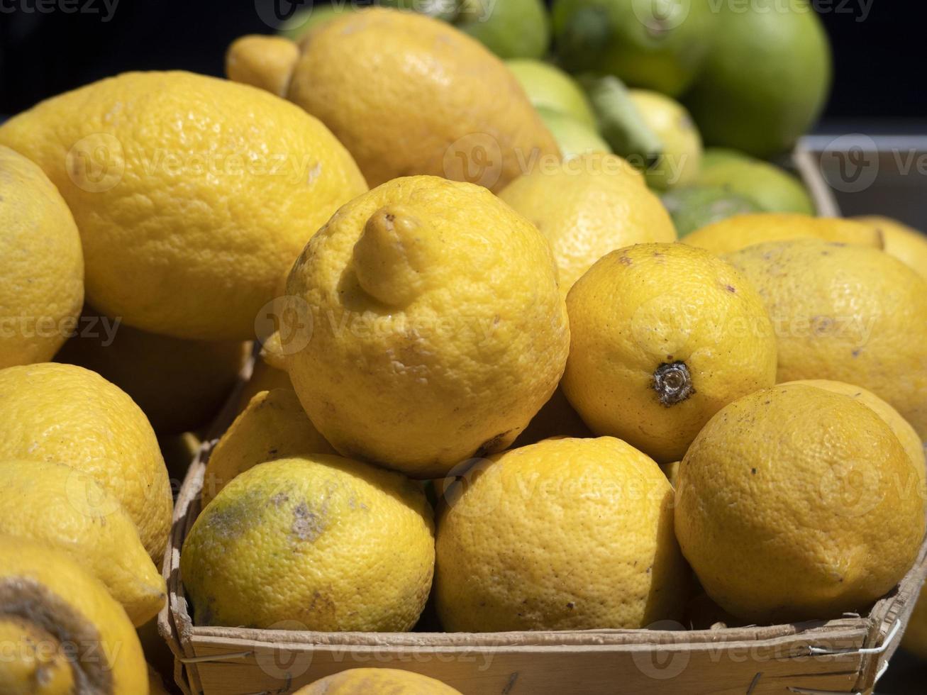 citroner av sicilien på visa foto
