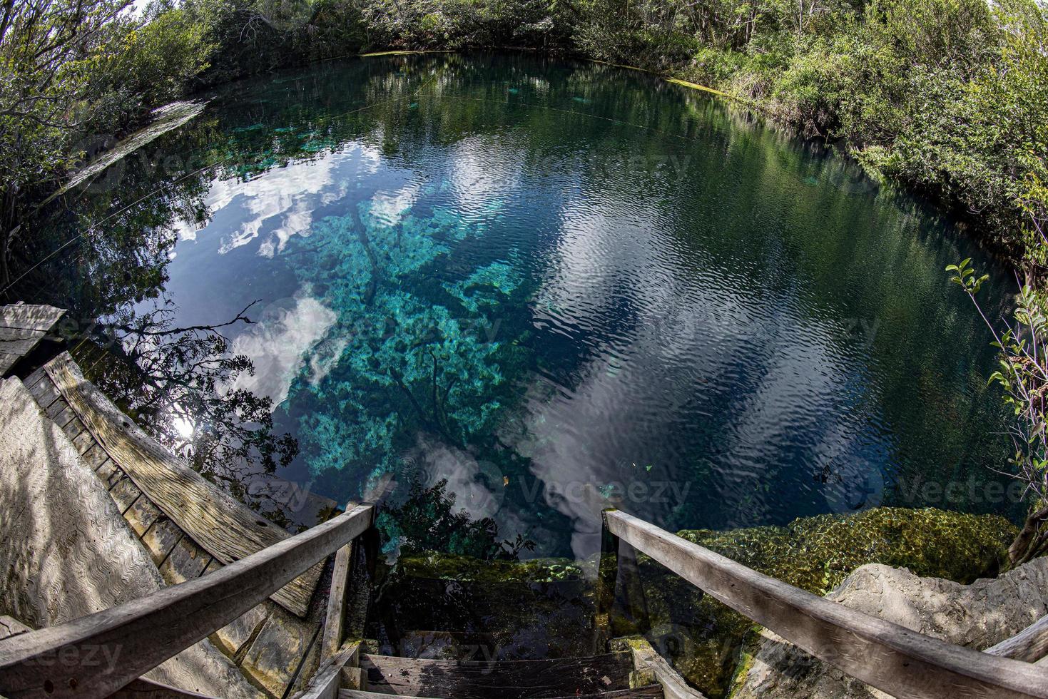 grotta dykning i mexikansk cenoter foto