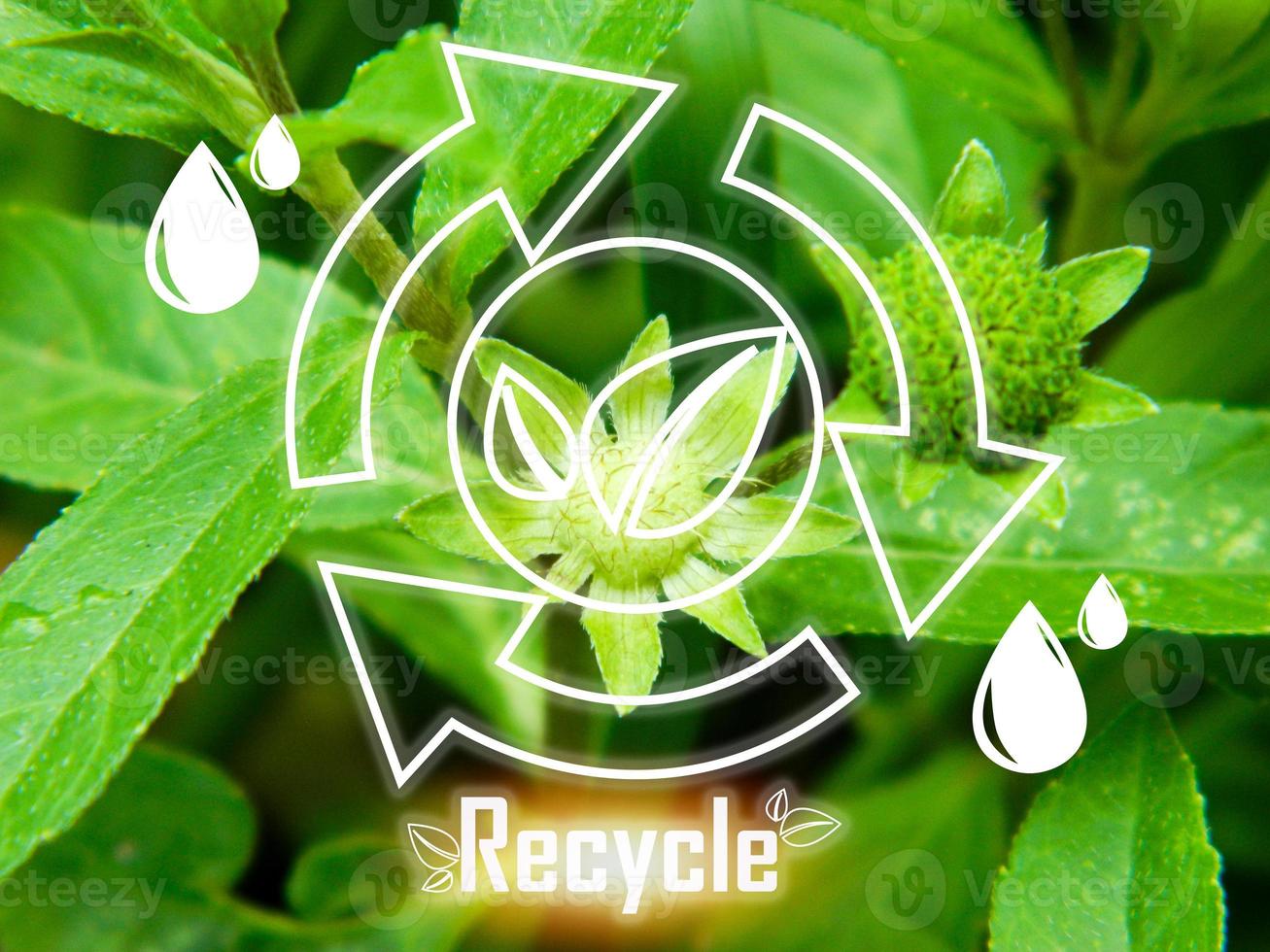 begrepp av återvinning för en grön värld foto