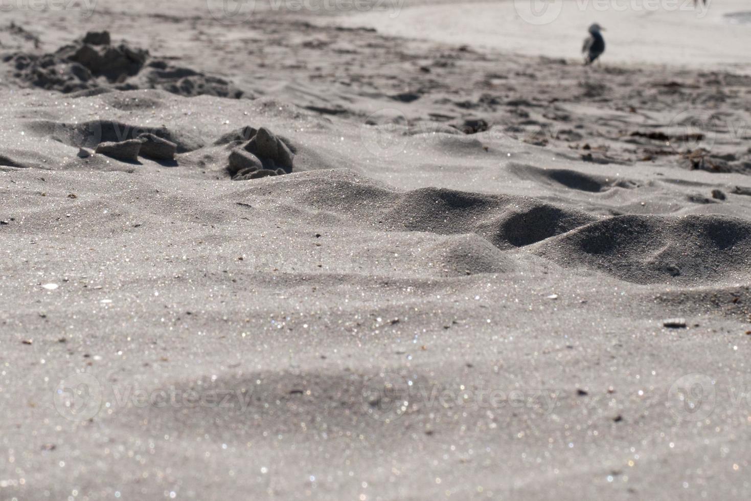 Flakstad vit sand strand lofoten ö Norge foto