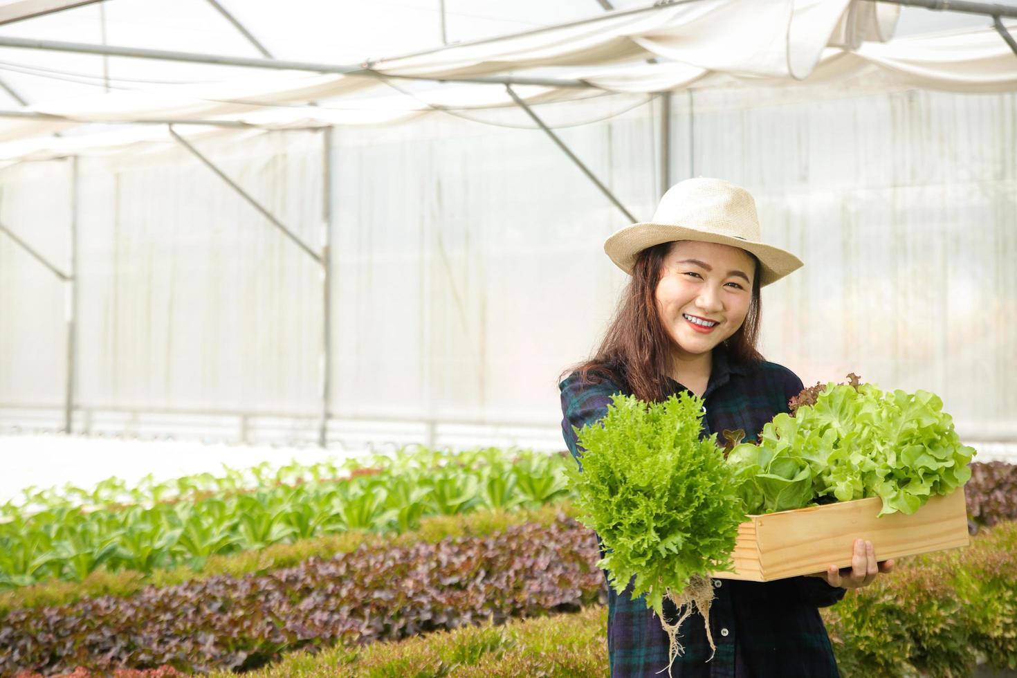 asiatisk kvinna jordbrukare är håller på med organisk vegetabiliska gårdar med modern teknologi och producerar kvalitet Produkter. foto