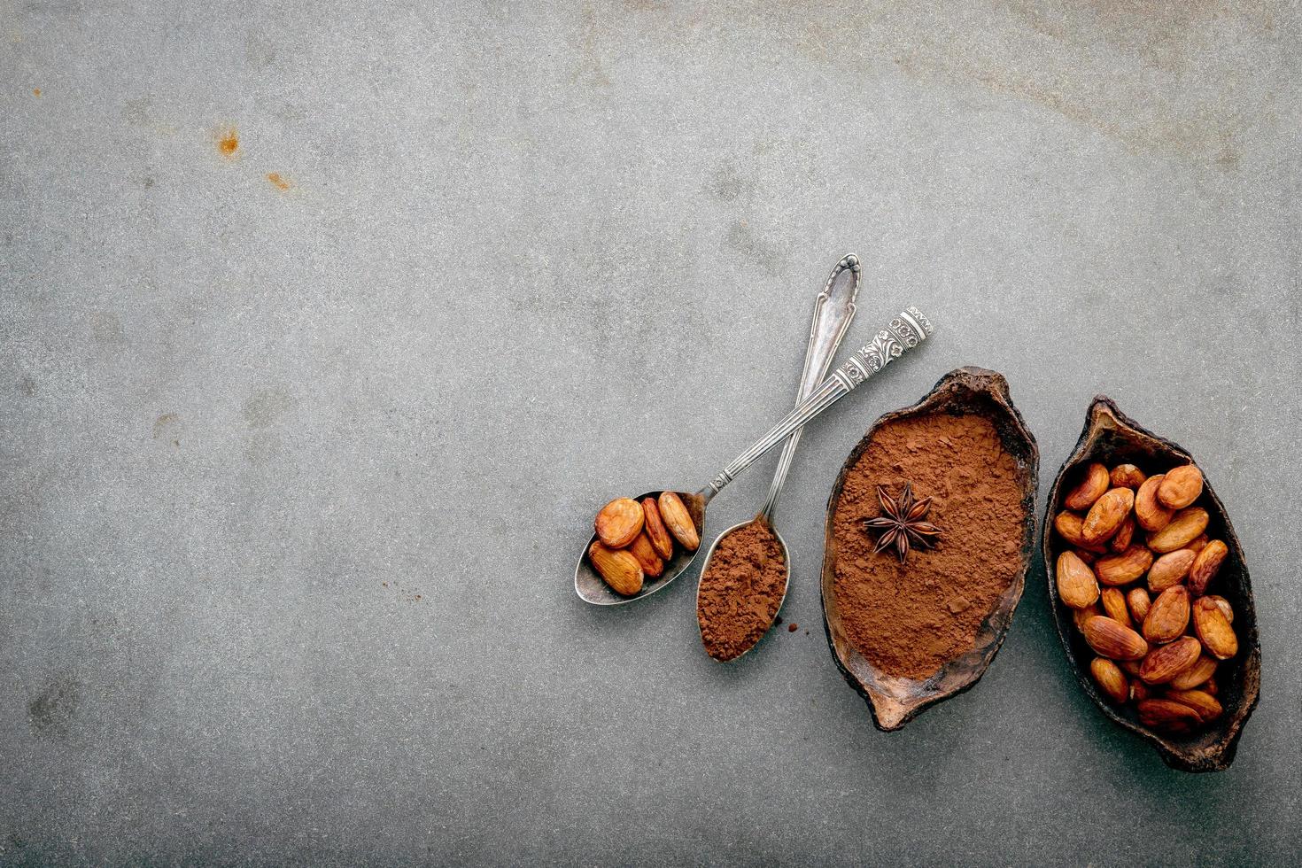 kakaopulver och kakaobönor på betong foto