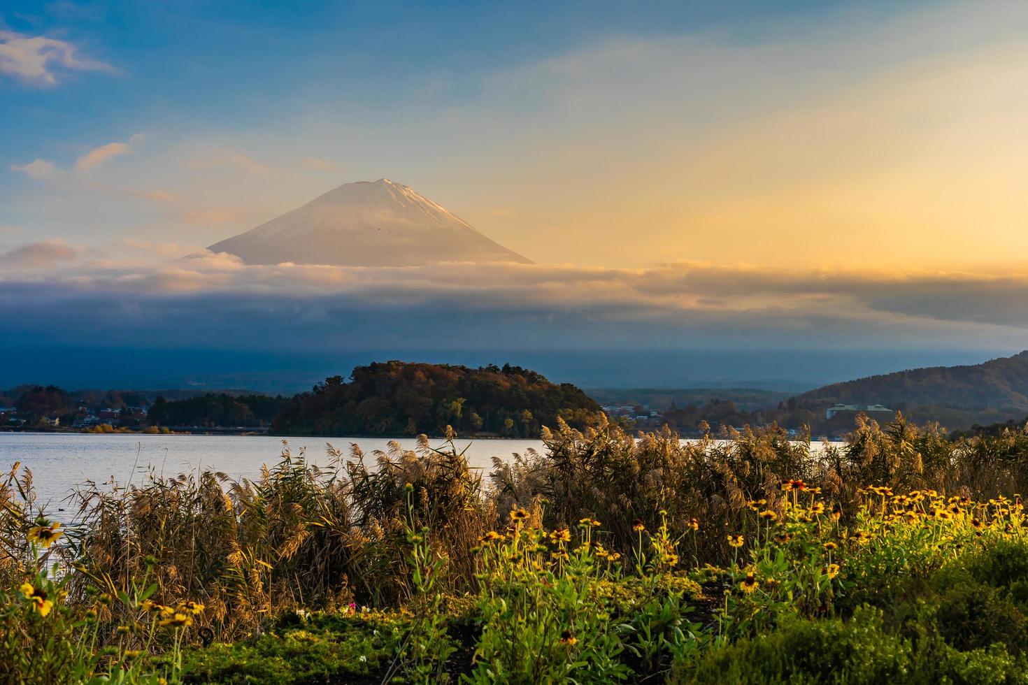 mt. fuji i japan på hösten foto