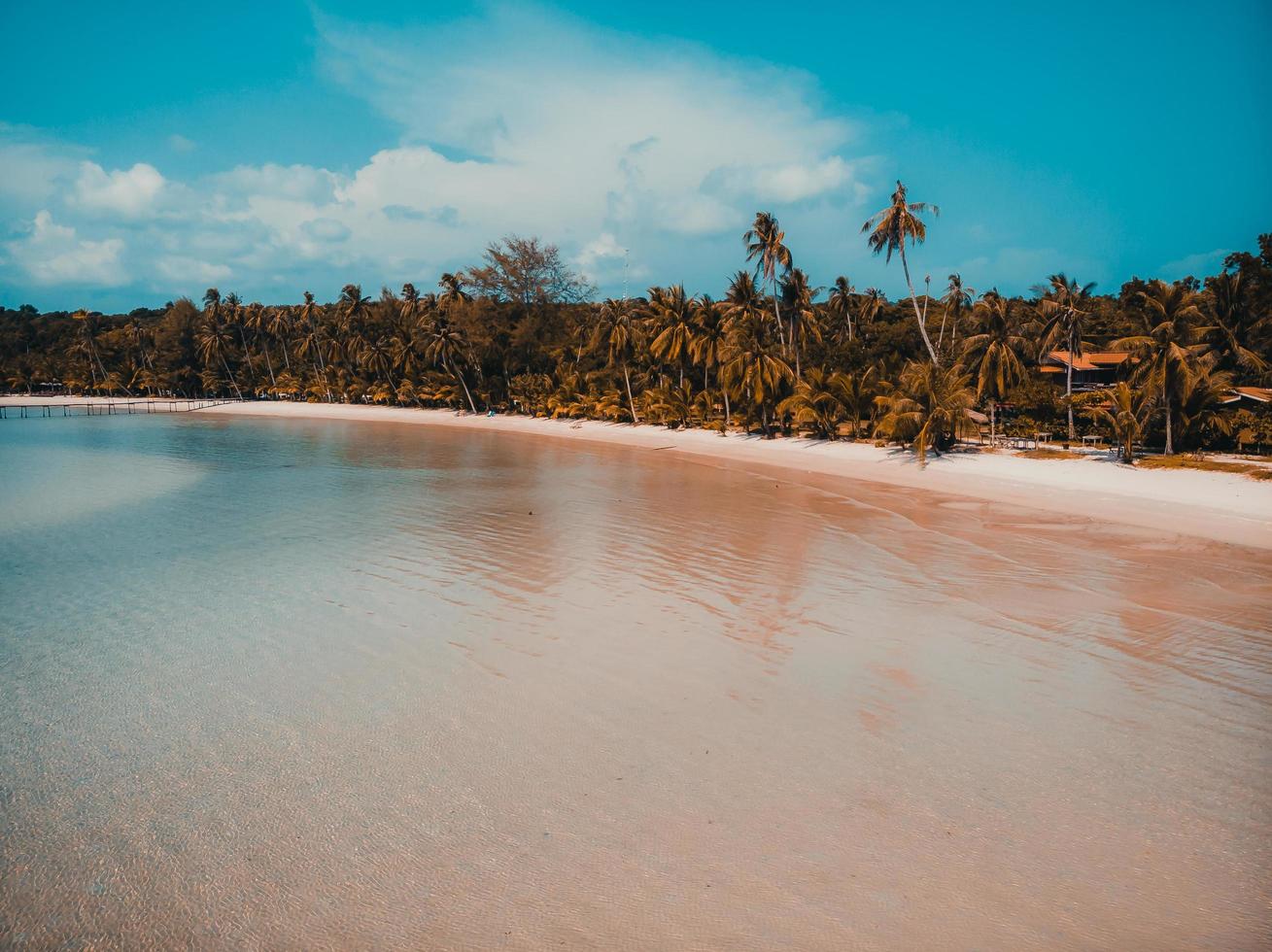 tropisk strand på en paradisö foto