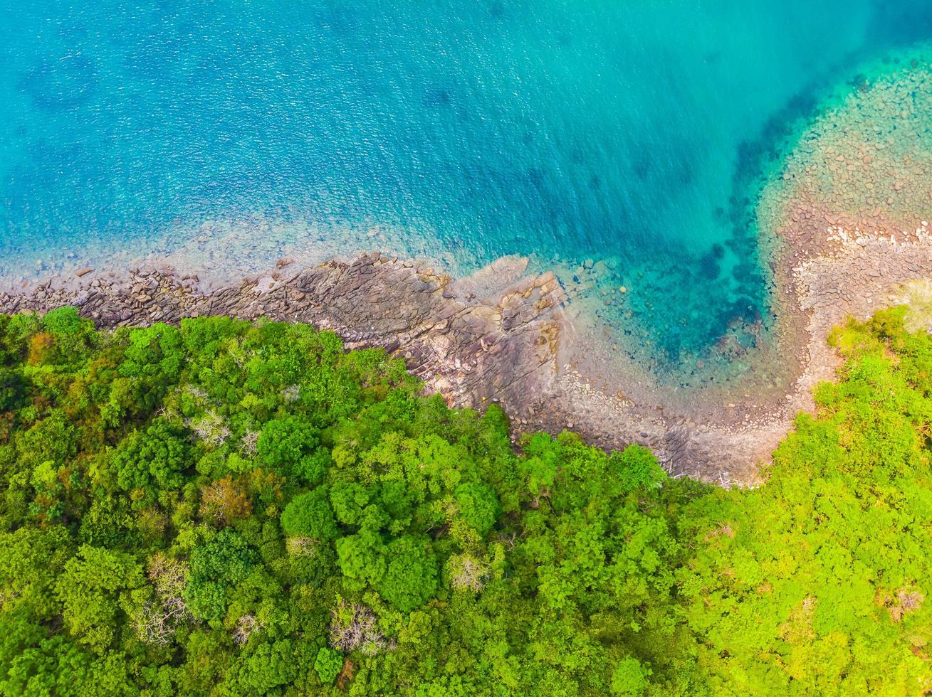 tropisk strand och hav med kokospalmer foto