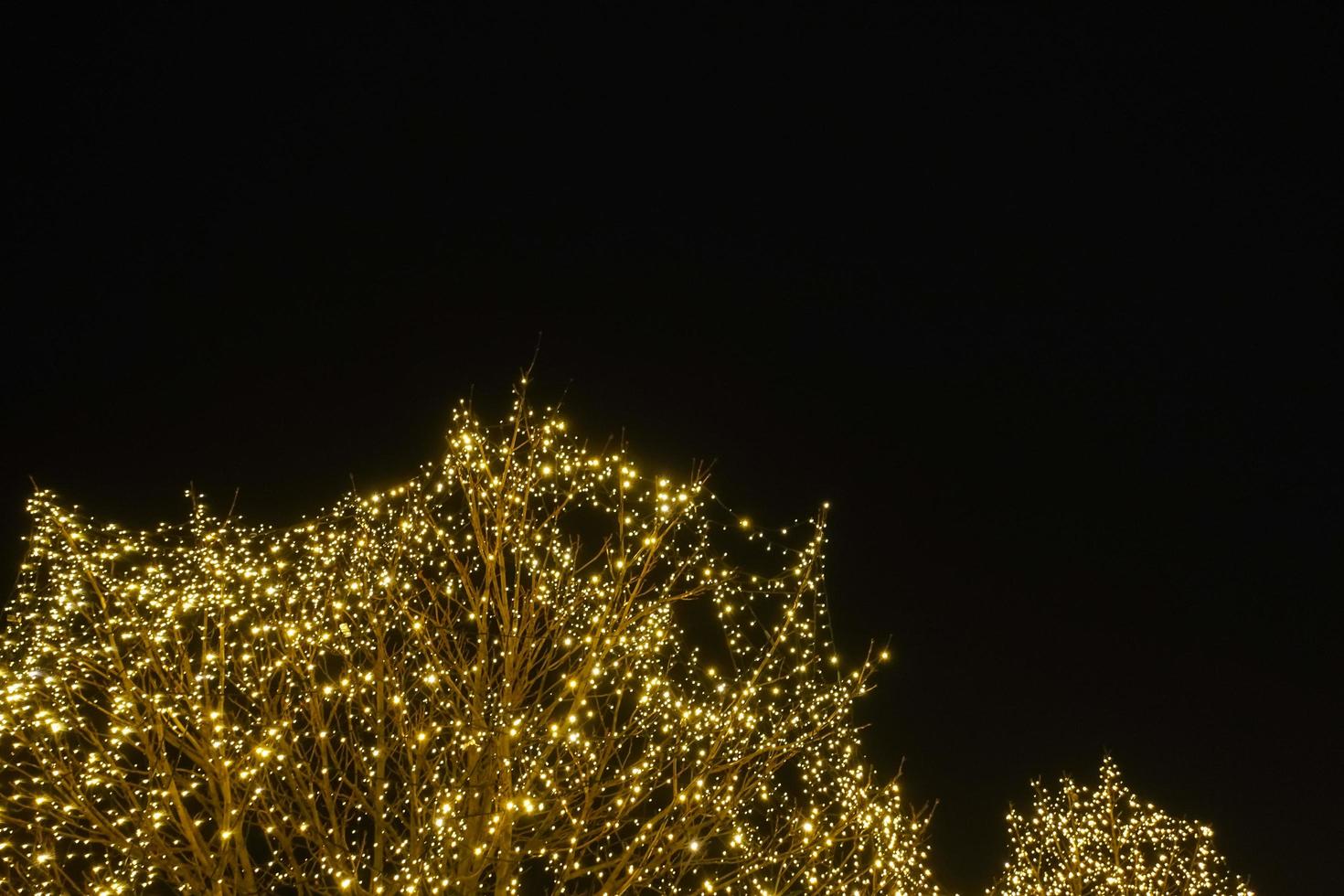 underbar träd med små lampor på en jul marknadsföra med svart himmel i de bakgrund foto