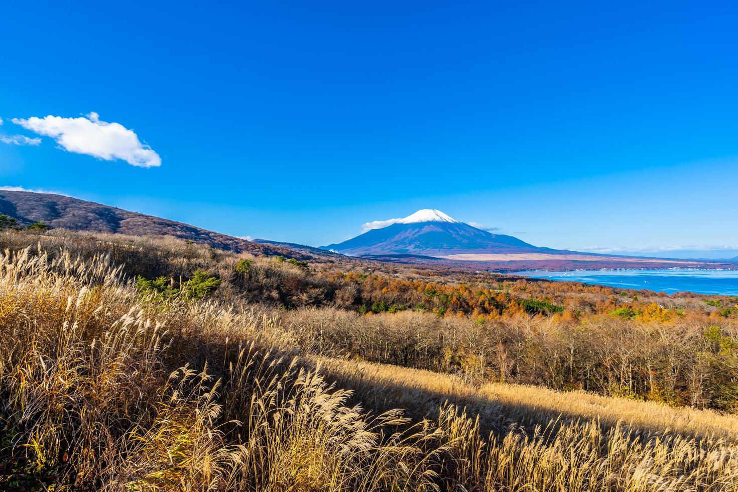 fuji berg vid yamanakako eller yamanaka sjön i japan foto