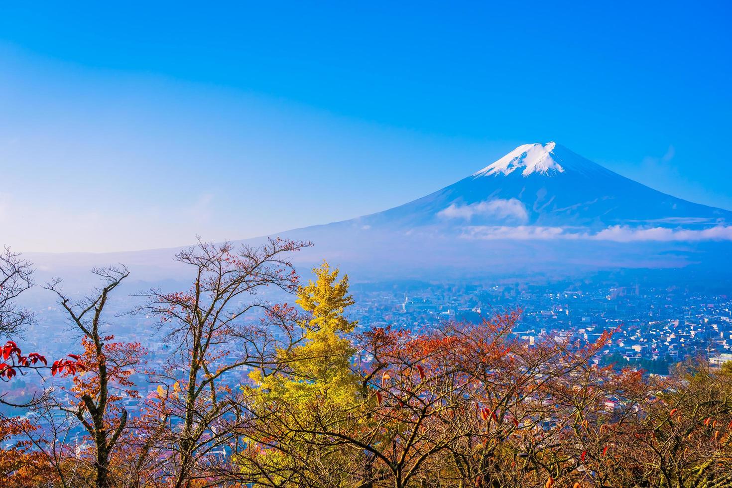 mt. fuji i japan på hösten foto