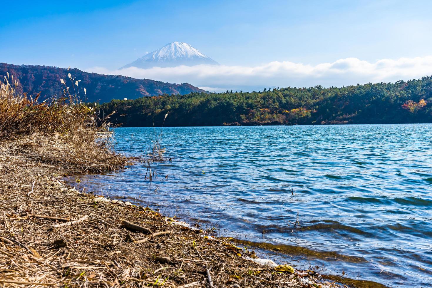 landskap runt mt. fuji i japan på hösten foto