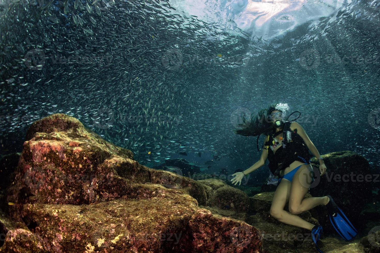 vackert latina dykare inuti en skola av fisk foto