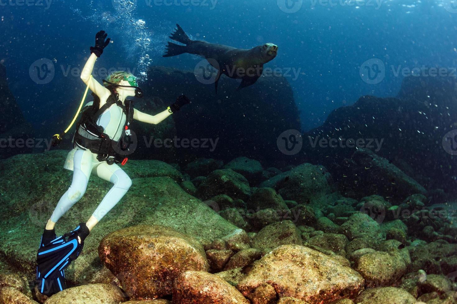 blond kvinna spelar med hav lejon foto